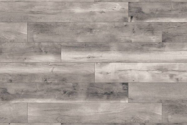 Blackwater Oak