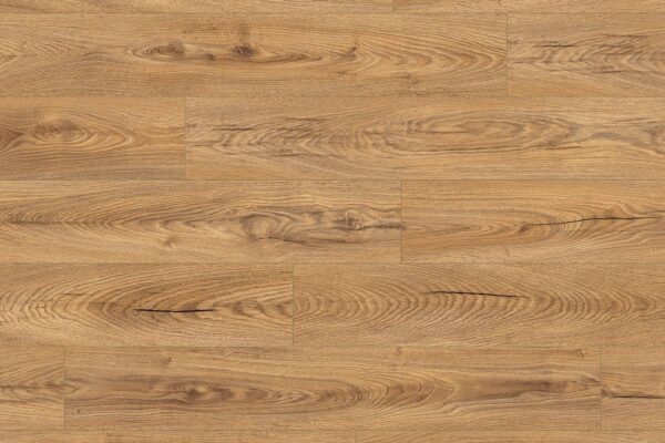 Inca Carpenter Oak