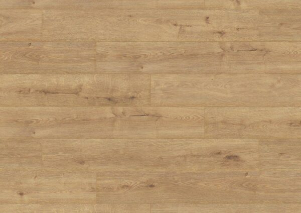 Sundance Oak