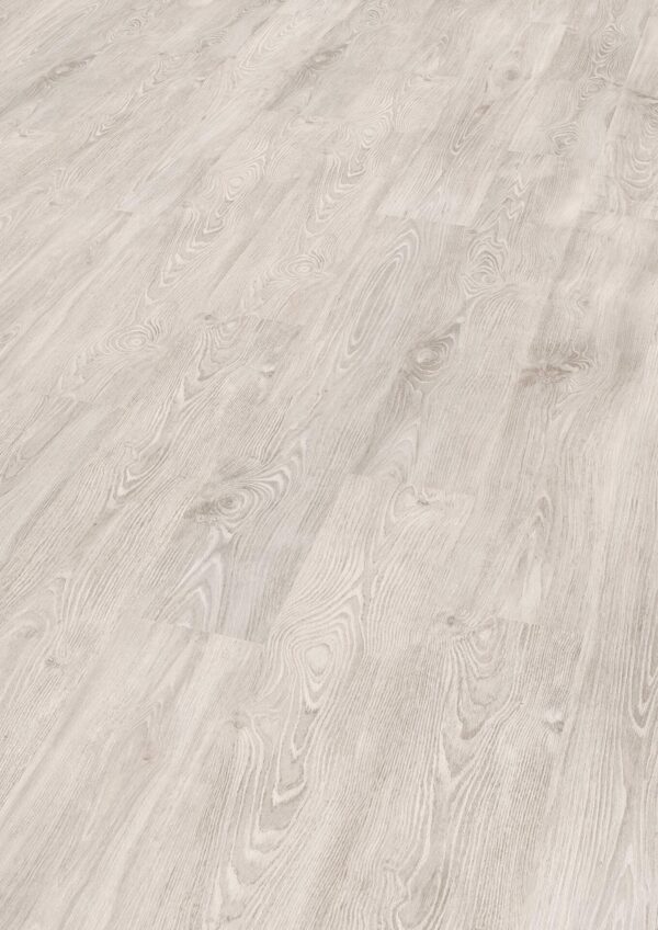 White Piagola Chestnut