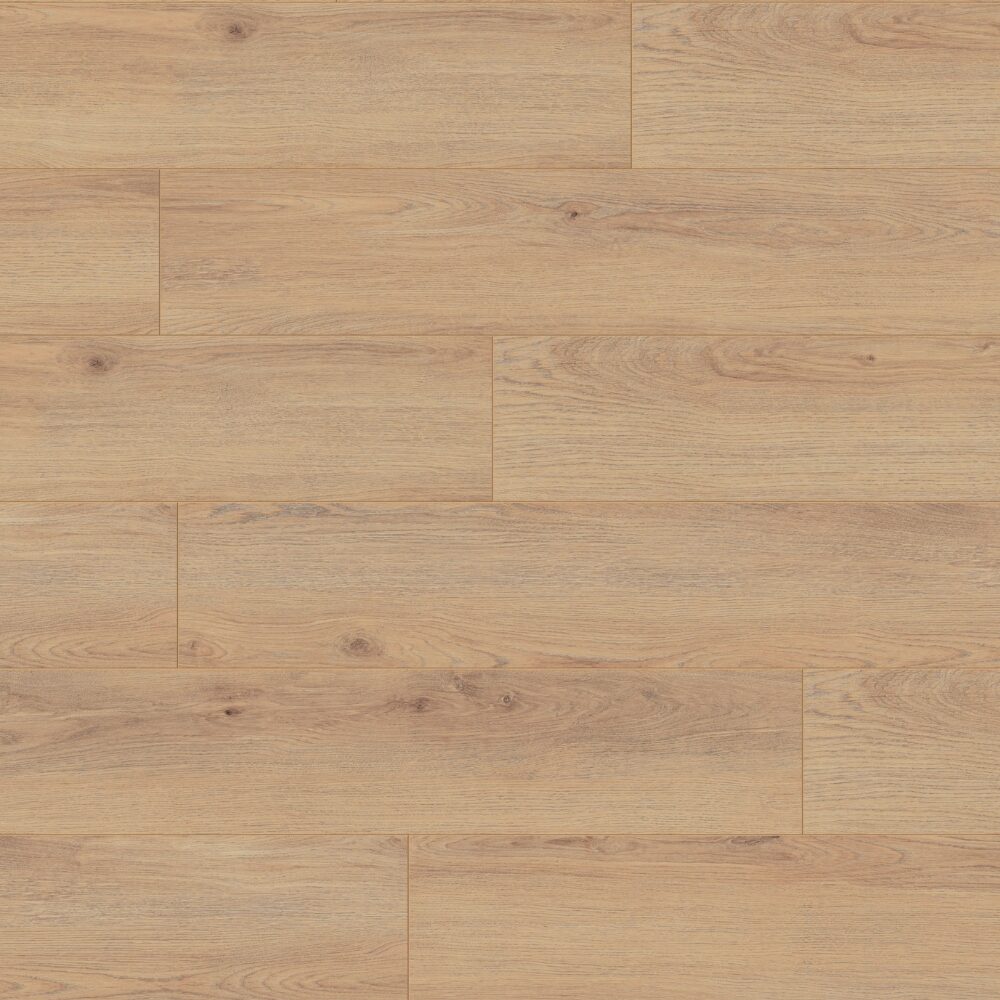 Norfolk Oak