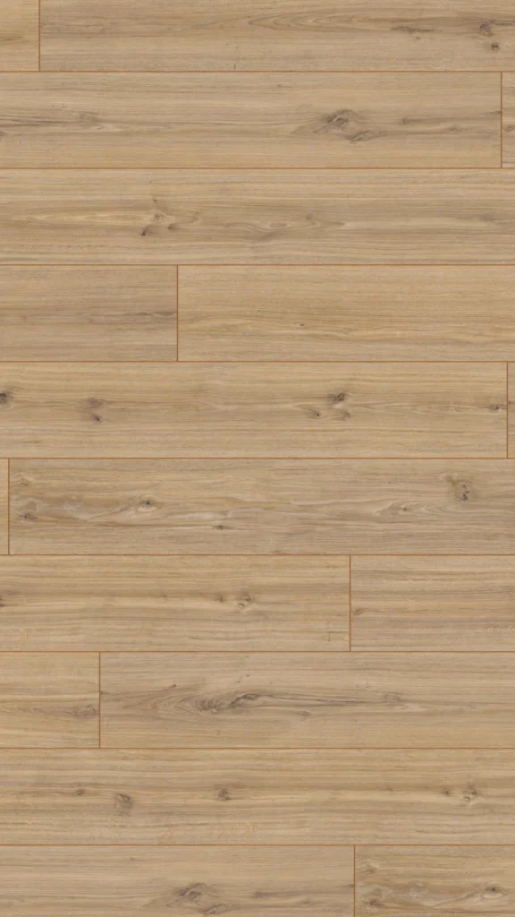 Phalsbourg Oak